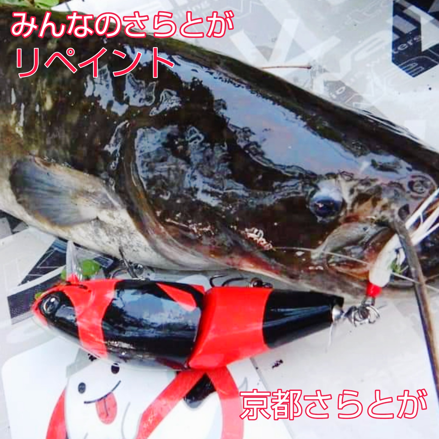 さらとが通信(みんなのさらとが)8月16日-2