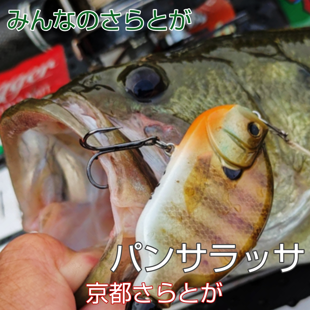 さらとが通信 10月17日更新