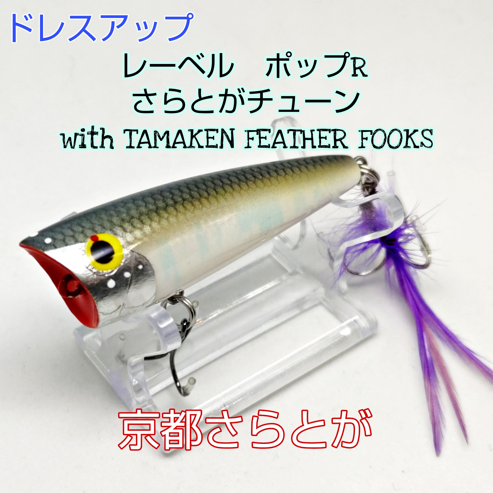 さらとが通信2月8日更新