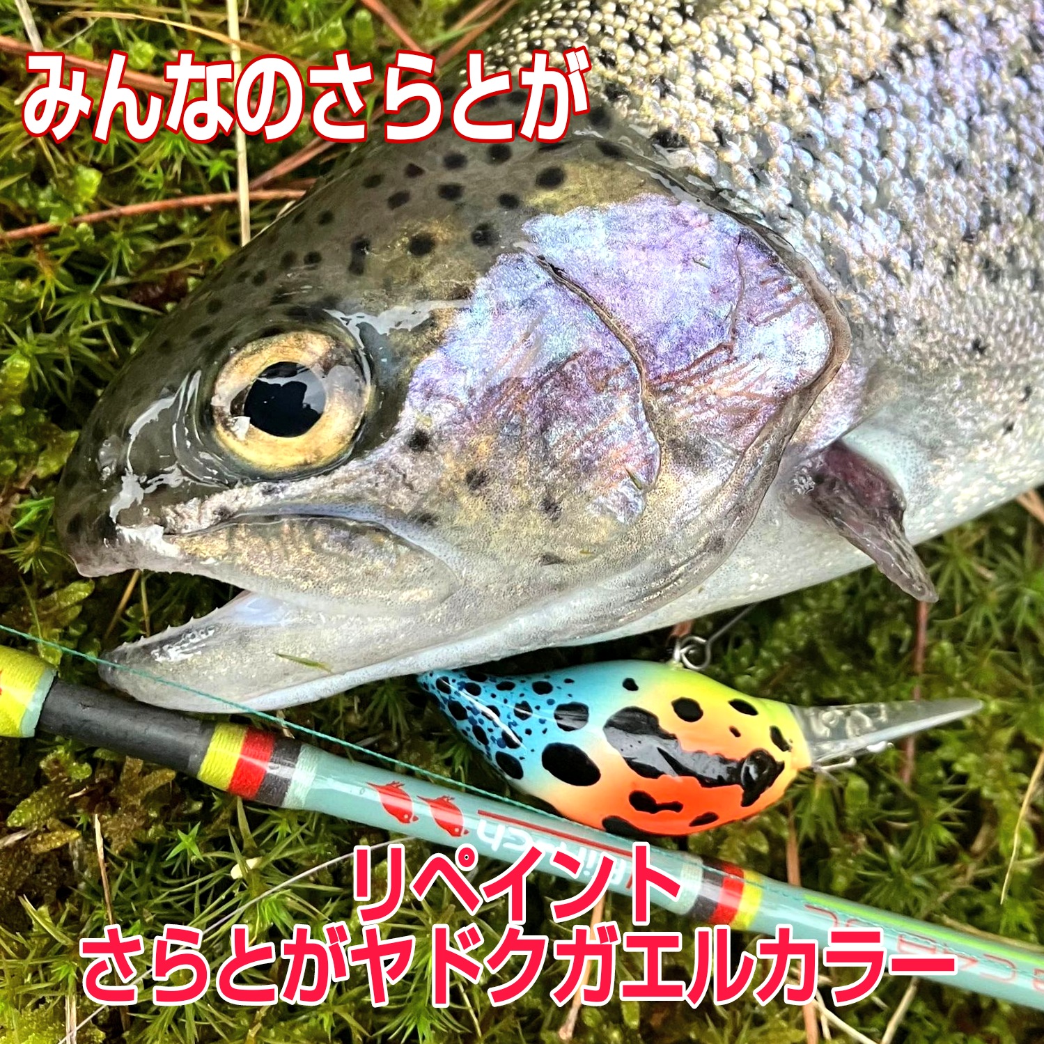 みんなのさらとが3月24日更新