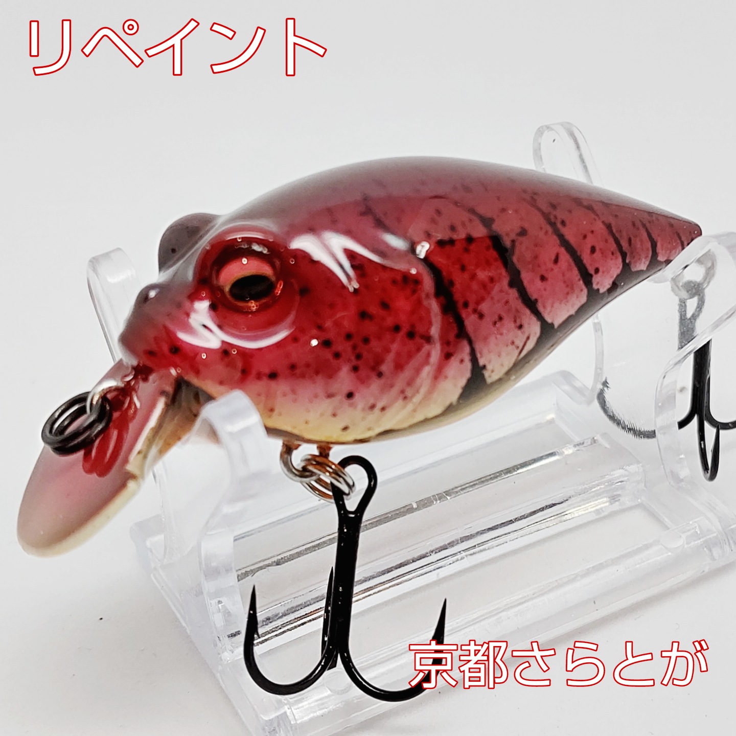 さらとが通信8月20日更新