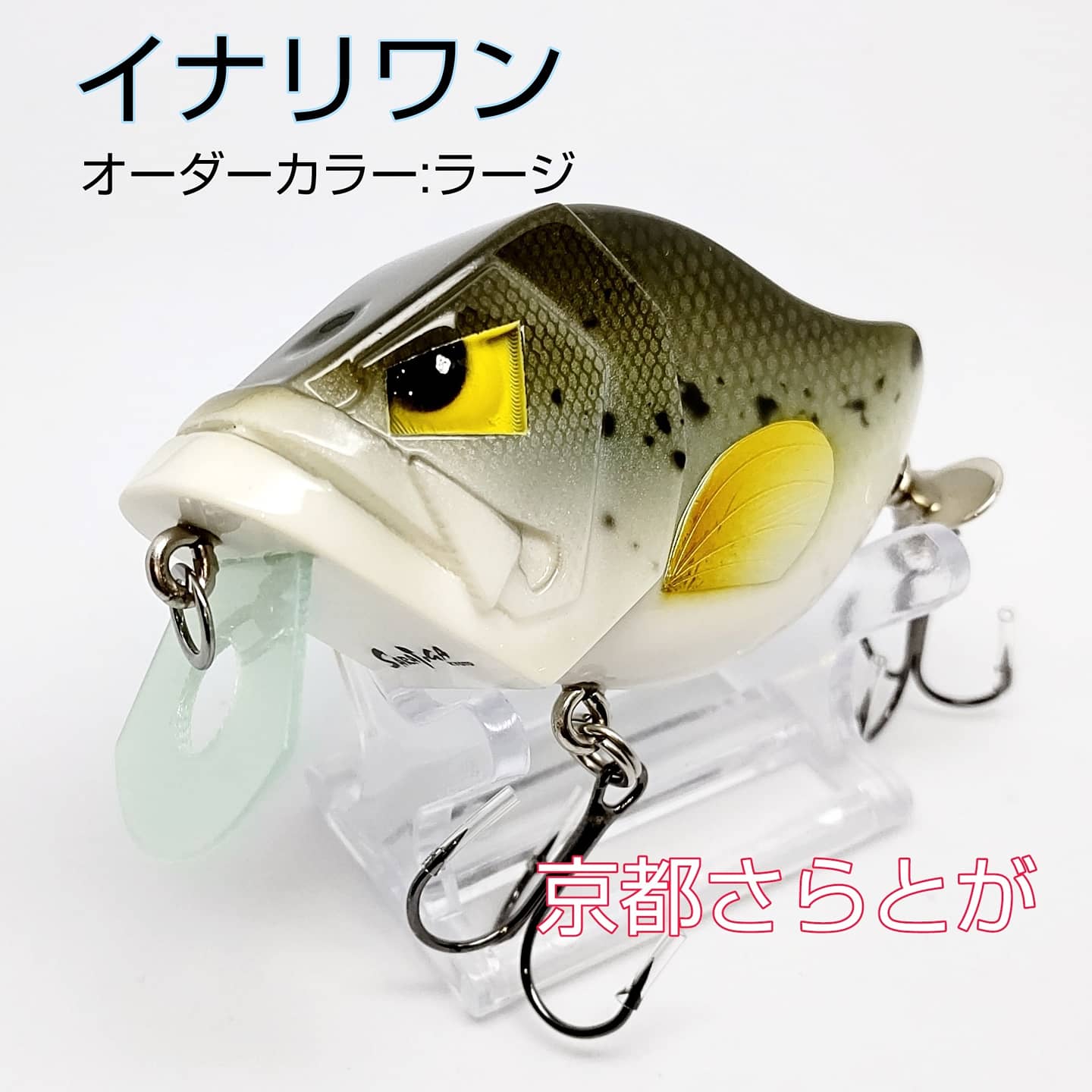 さらとが通信7月19日更新