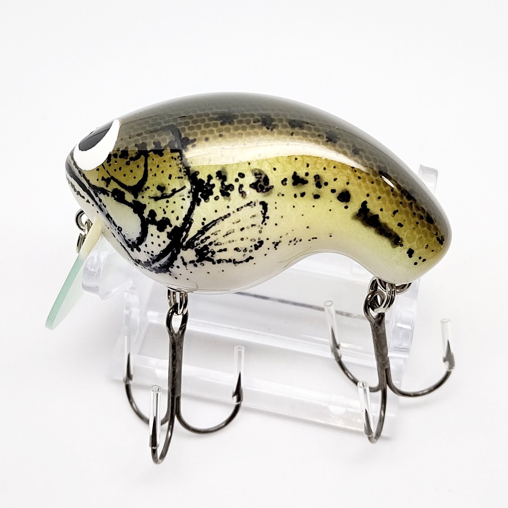 さらとが通信7月20日更新