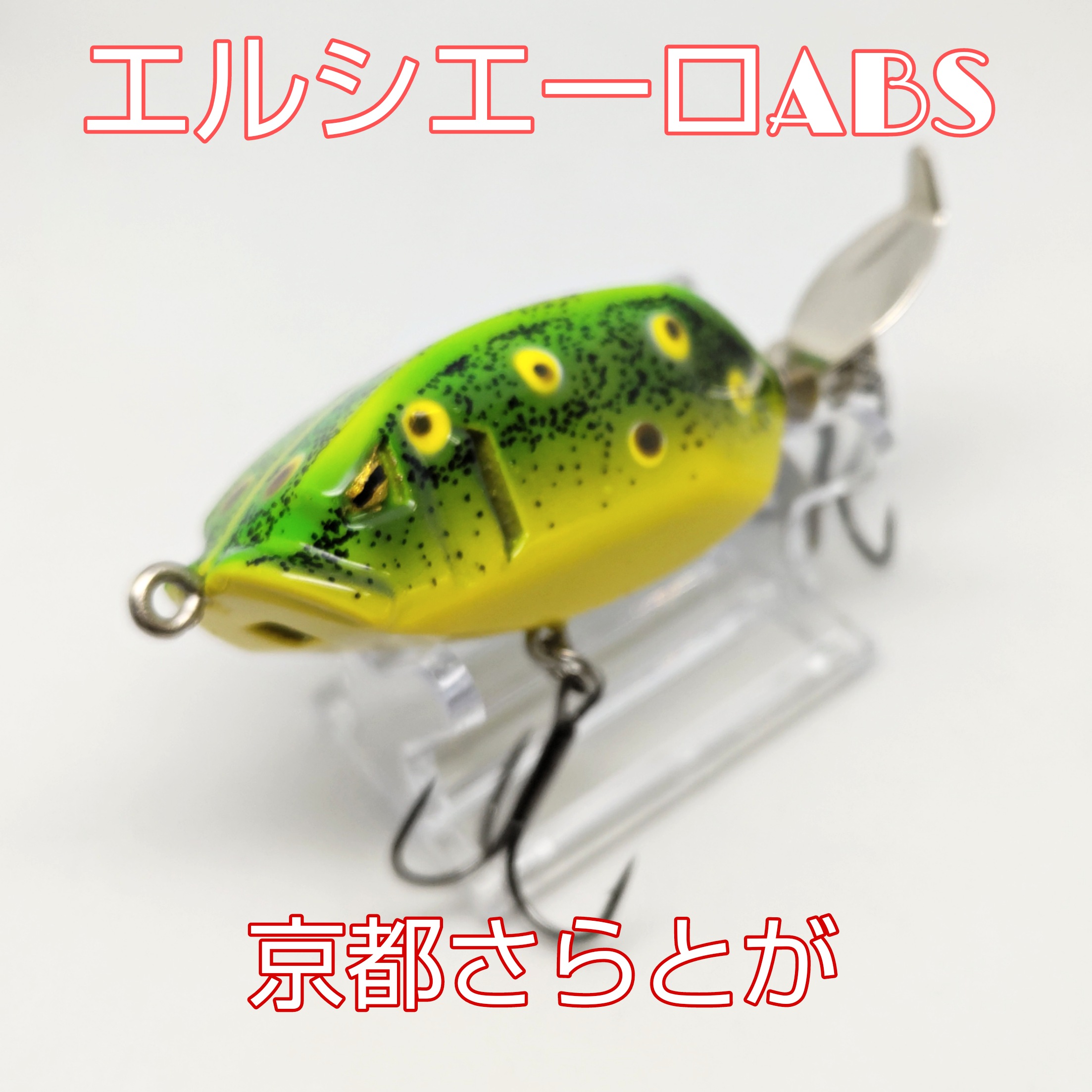 さらとが通信8月23日更新