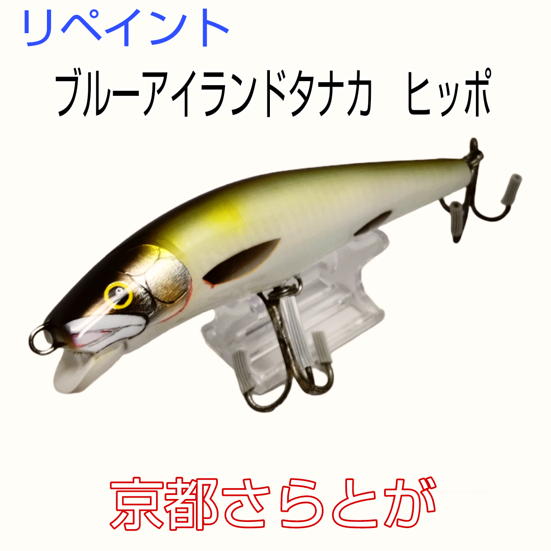 さらとが通信2月13日更新