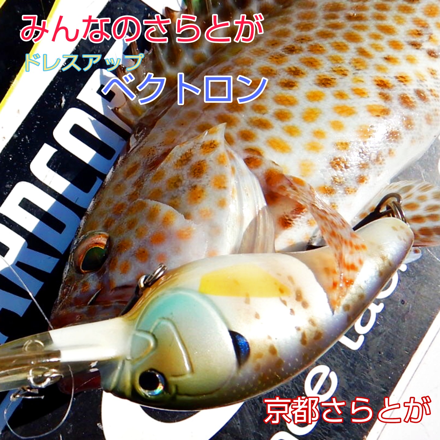 みんなのさらとが10月6日更新