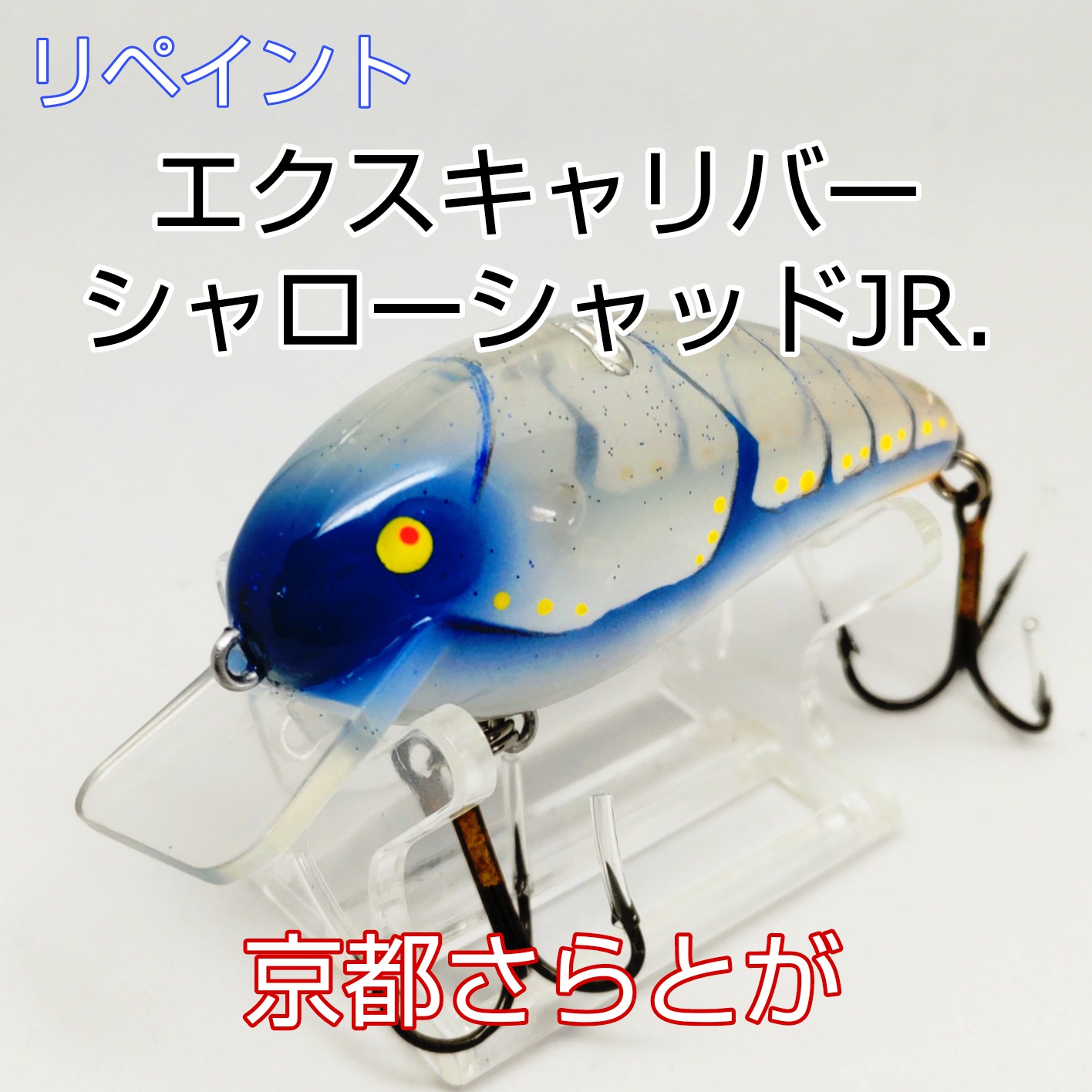 さらとが通信2月15日更新