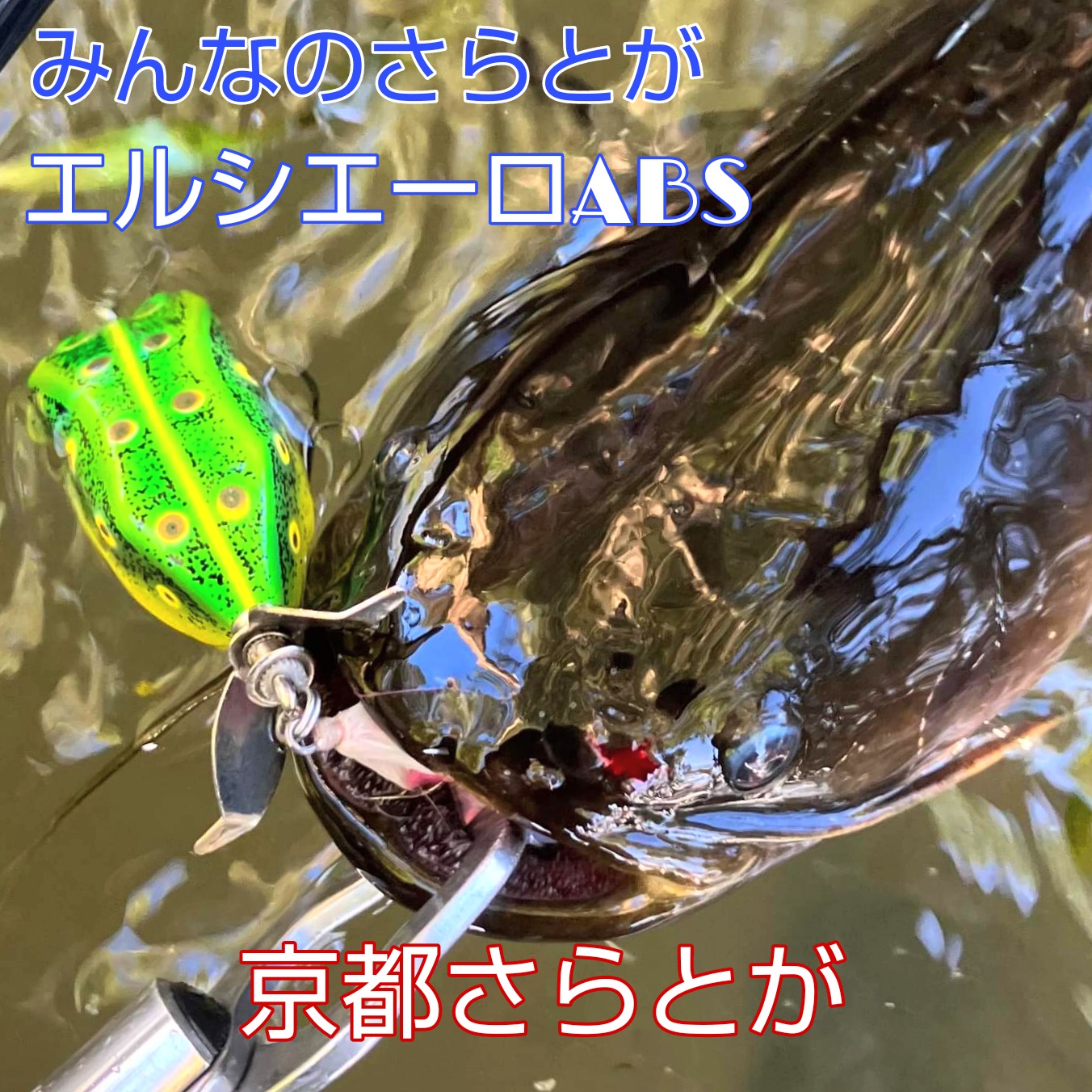 みんなのさらとが9月4日更新