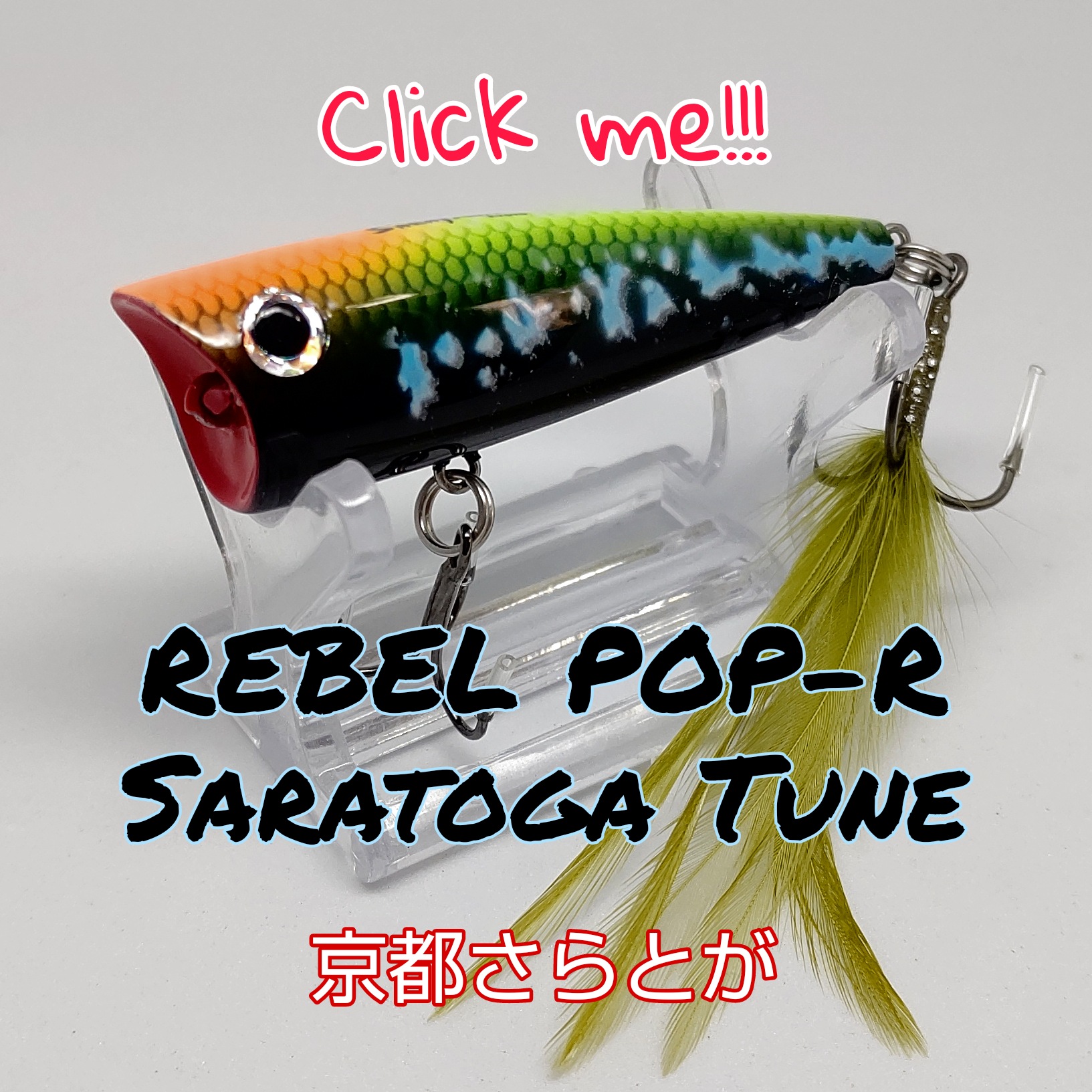 さらとが通信11月14日更新