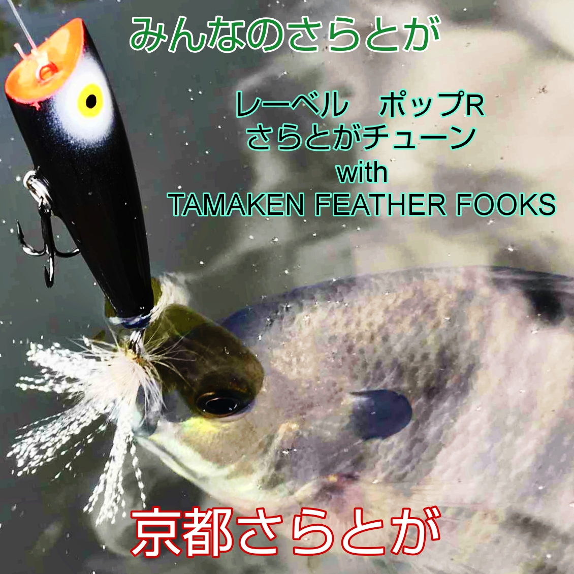 さらとが通信 11月23日更新