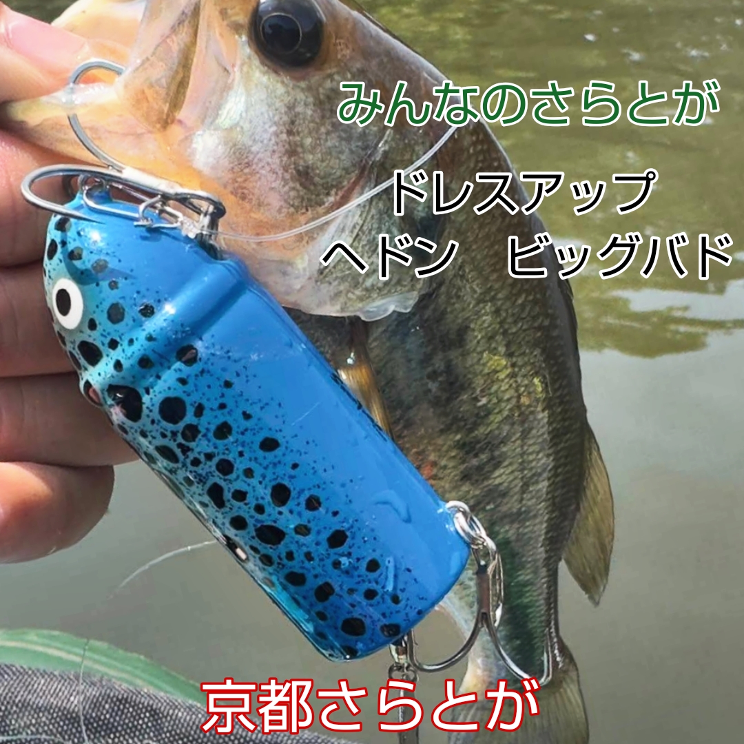 さらとが通信　7月26日更新