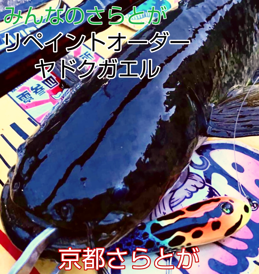 みんなのさらとが6月27日更新