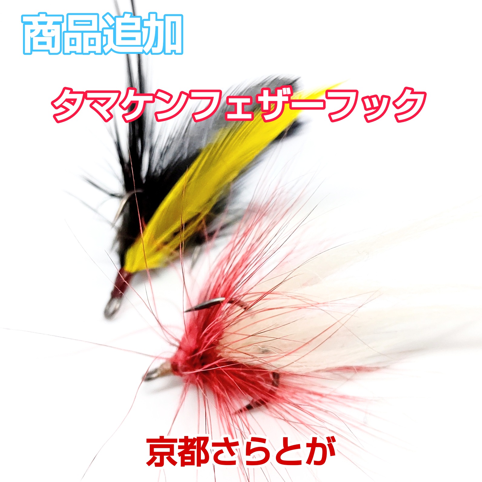 さらとが通信12月14日更新