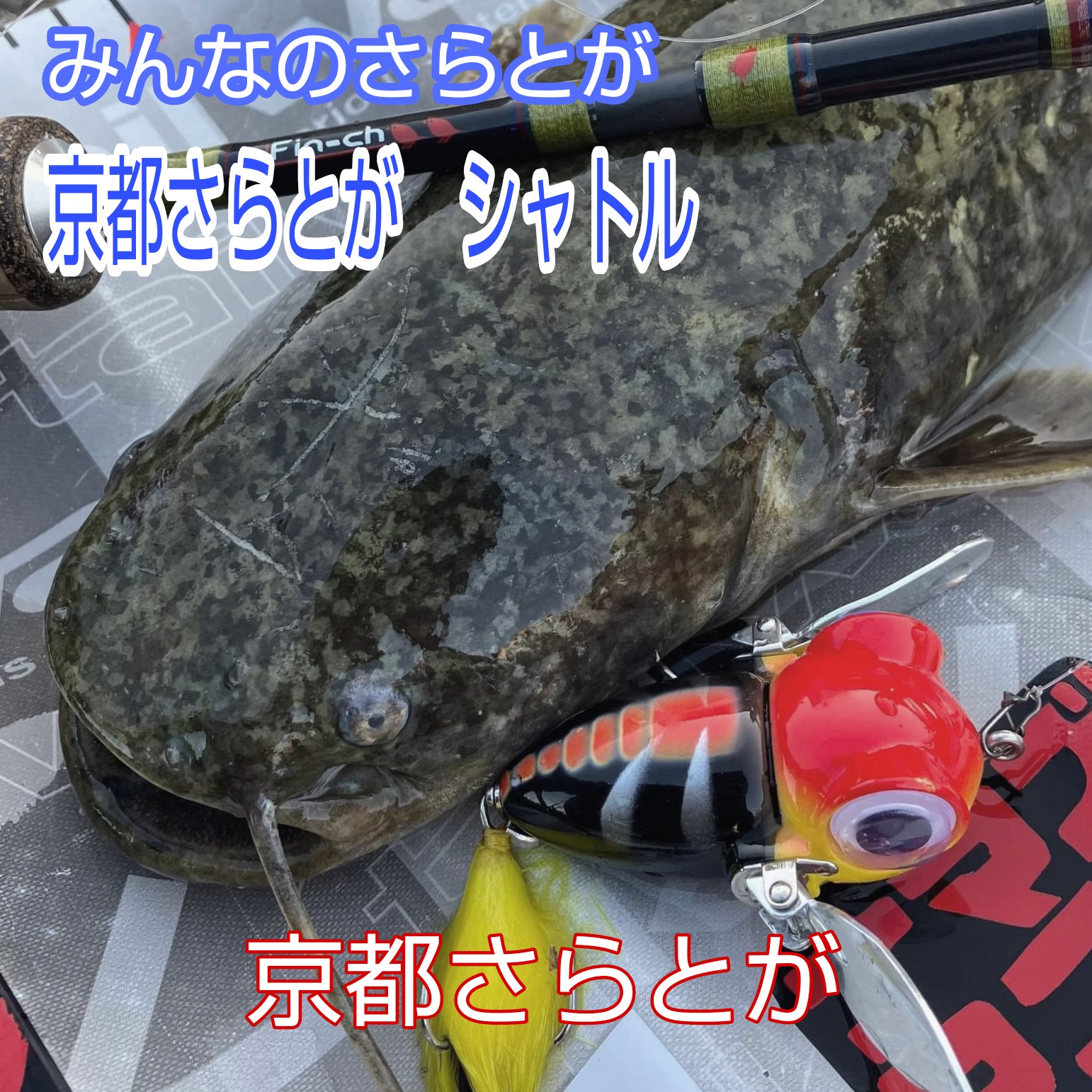 みんなのさらとが11月3日更新