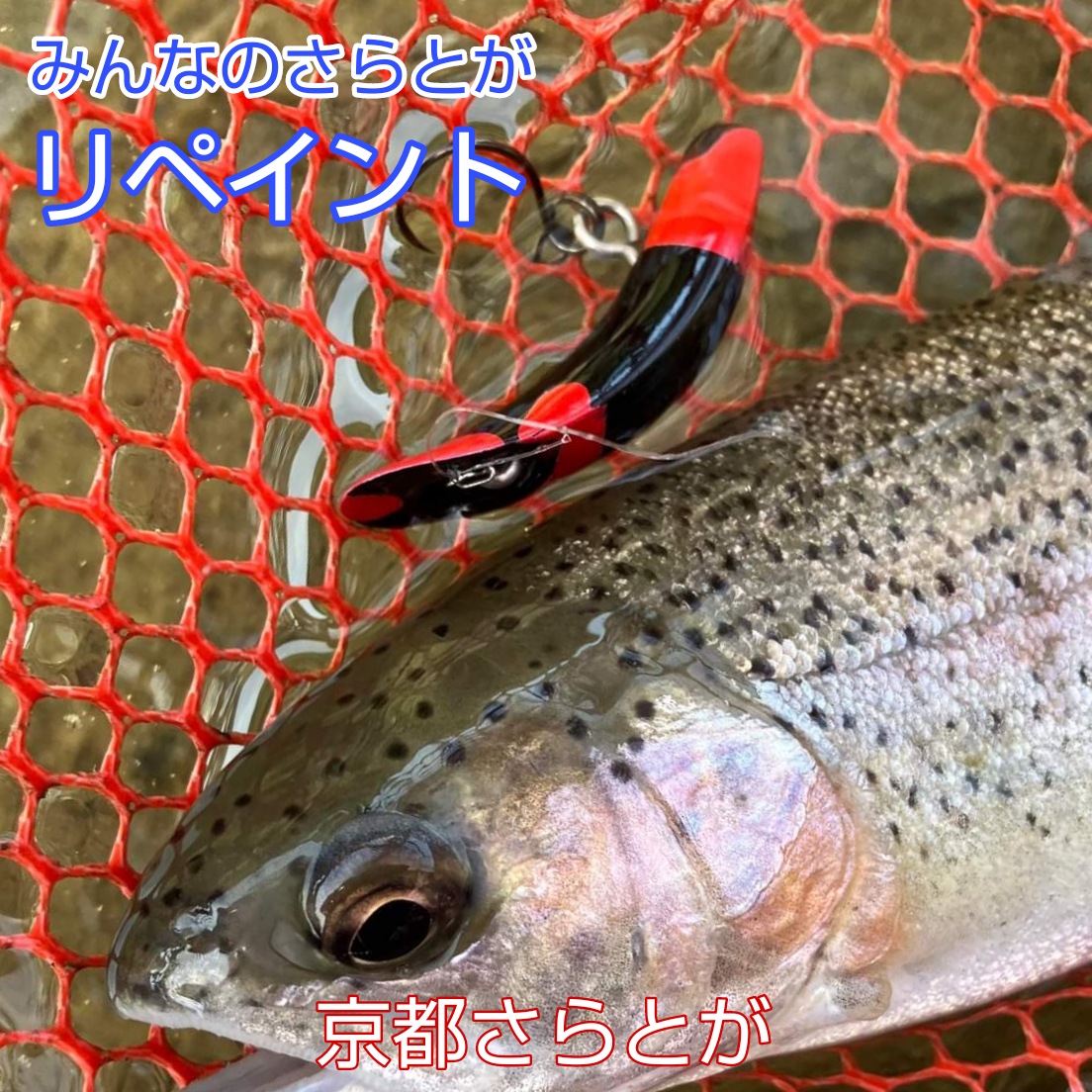 みんなのさらとが4月28日更新2