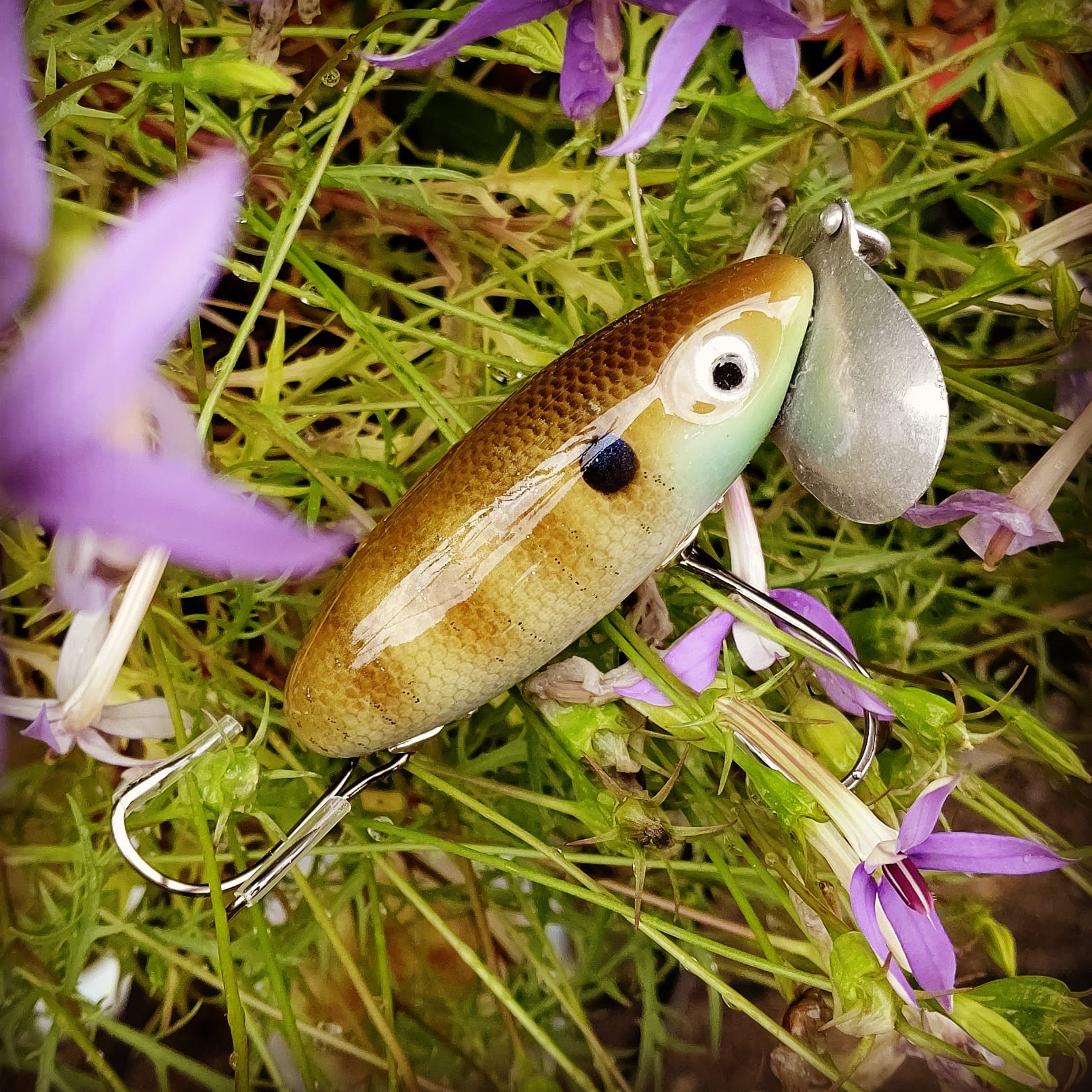 さらとが通信　20年6月14日