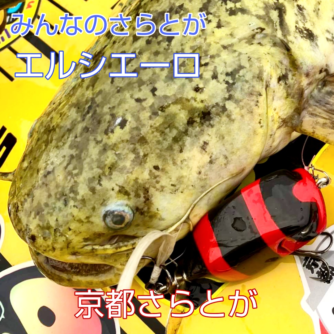 みんなのさらとが6月18日更新