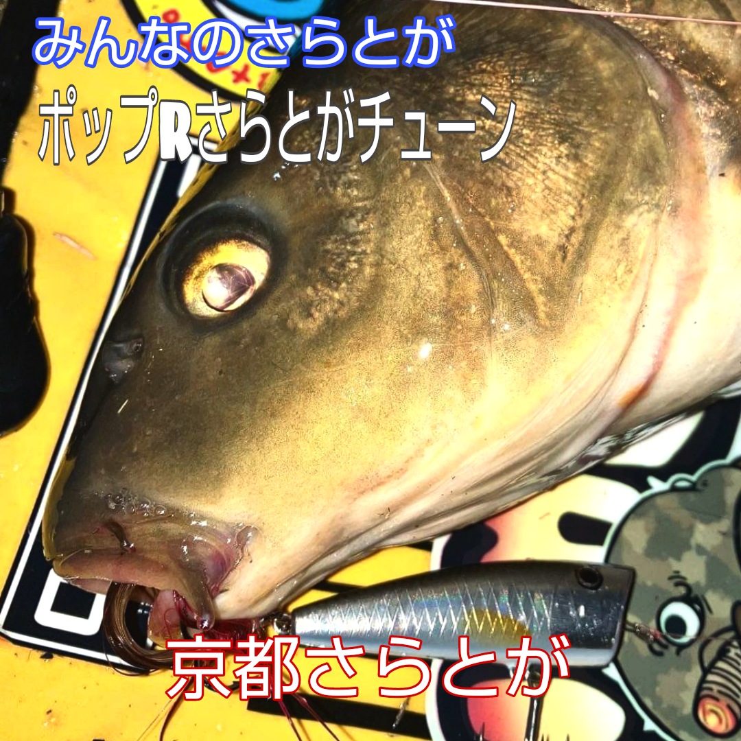 みんなのさらとが6月6日更新