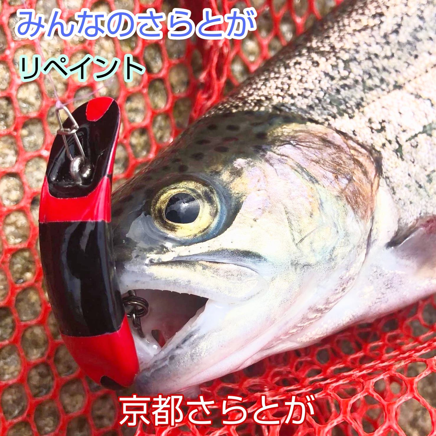 みんなのさらとが3月28日更新