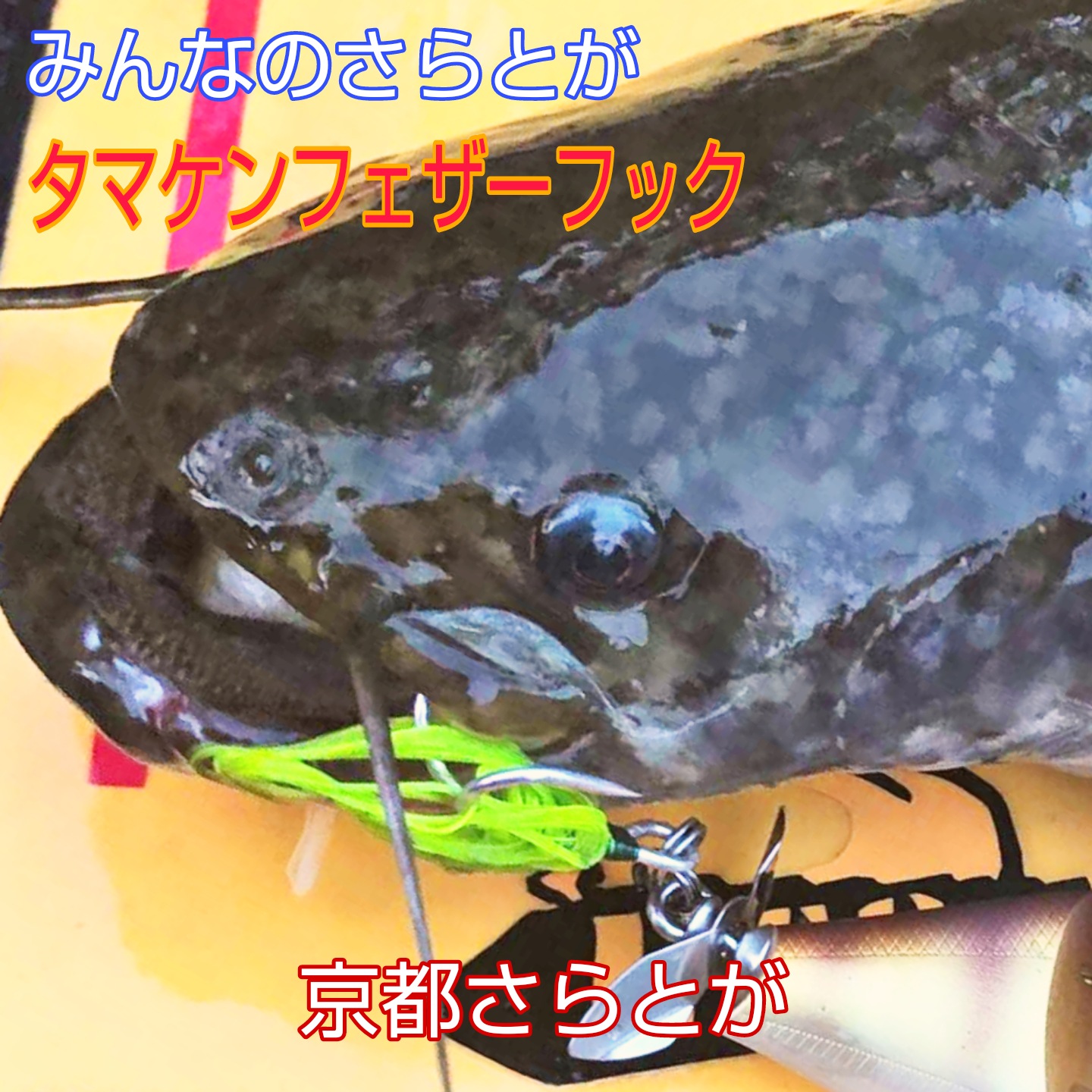 みんなのさらとが4月11日更新