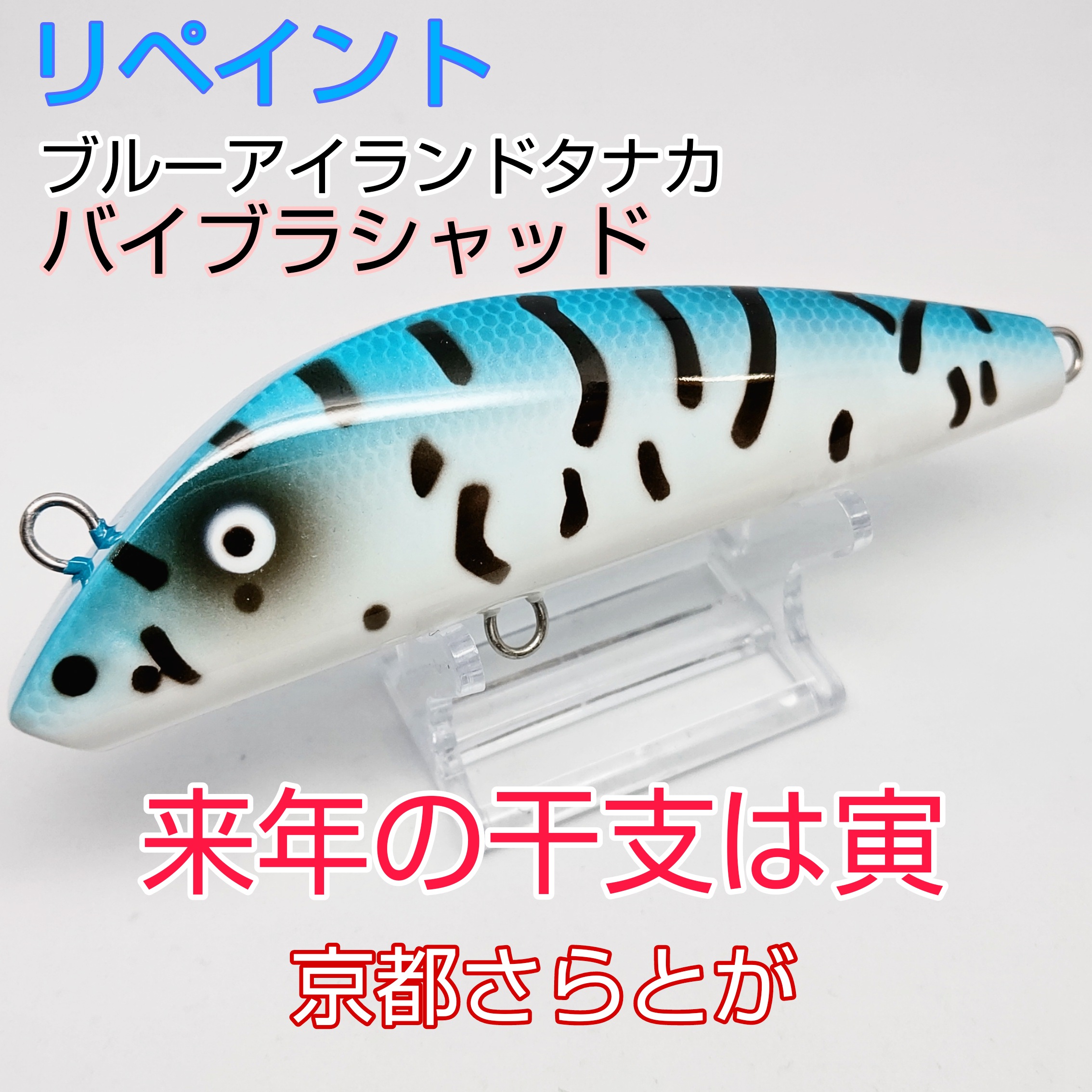 さらとが通信12月21日更新