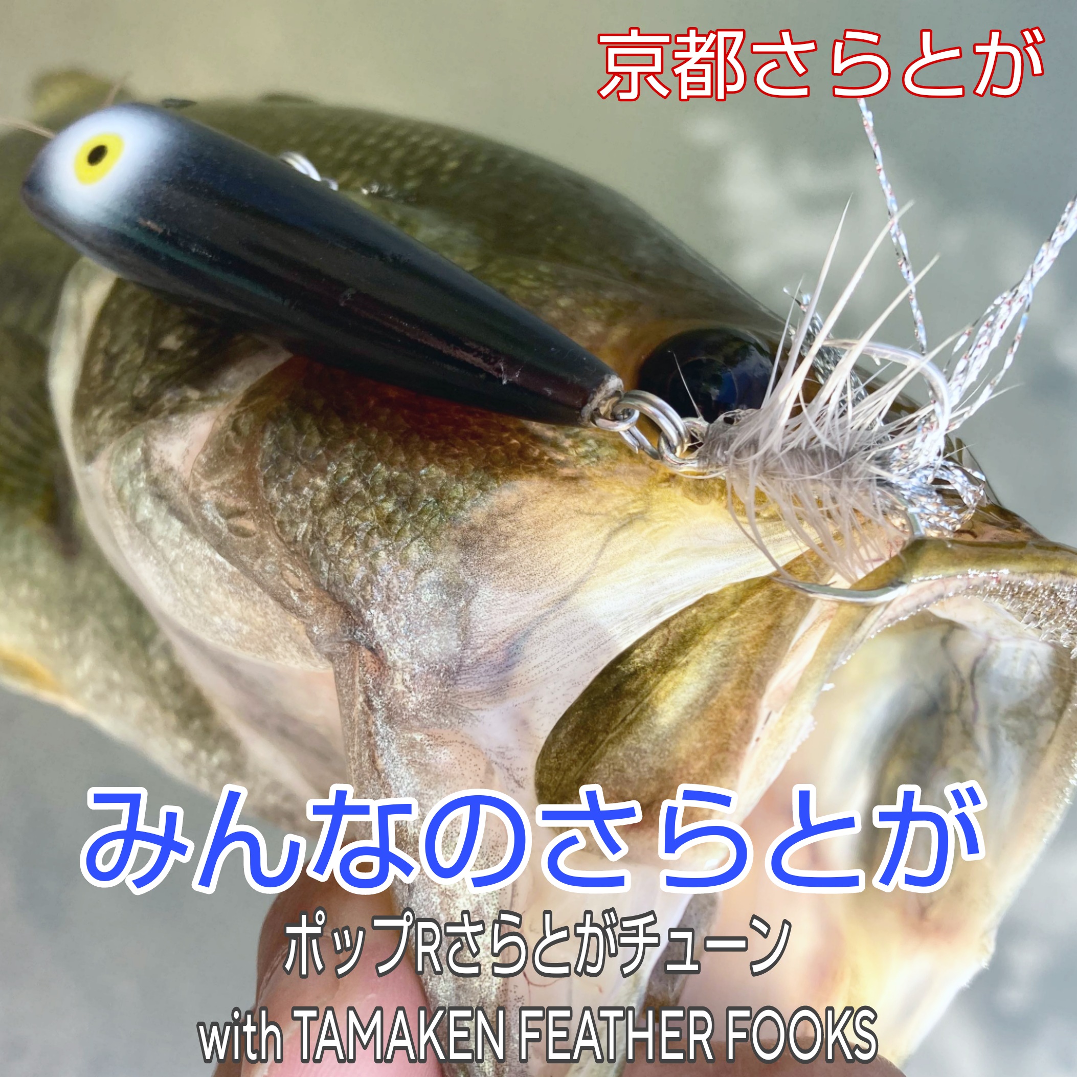 みんなのさらとが8月17日更新