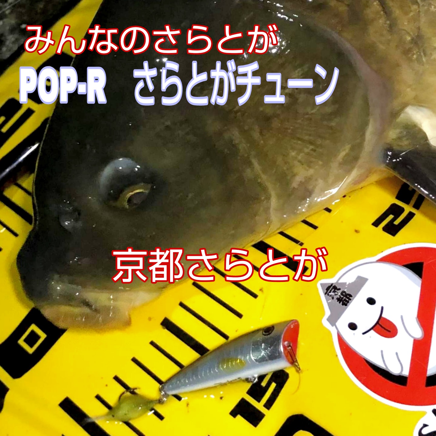 みんなのさらとが4月4日更新