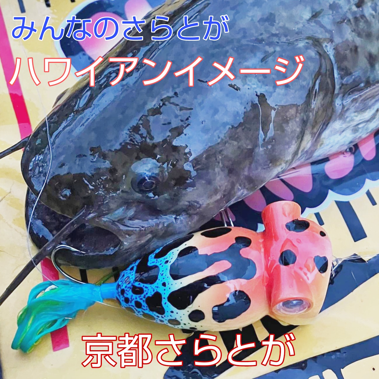 みんなのさらとが7月10日更新