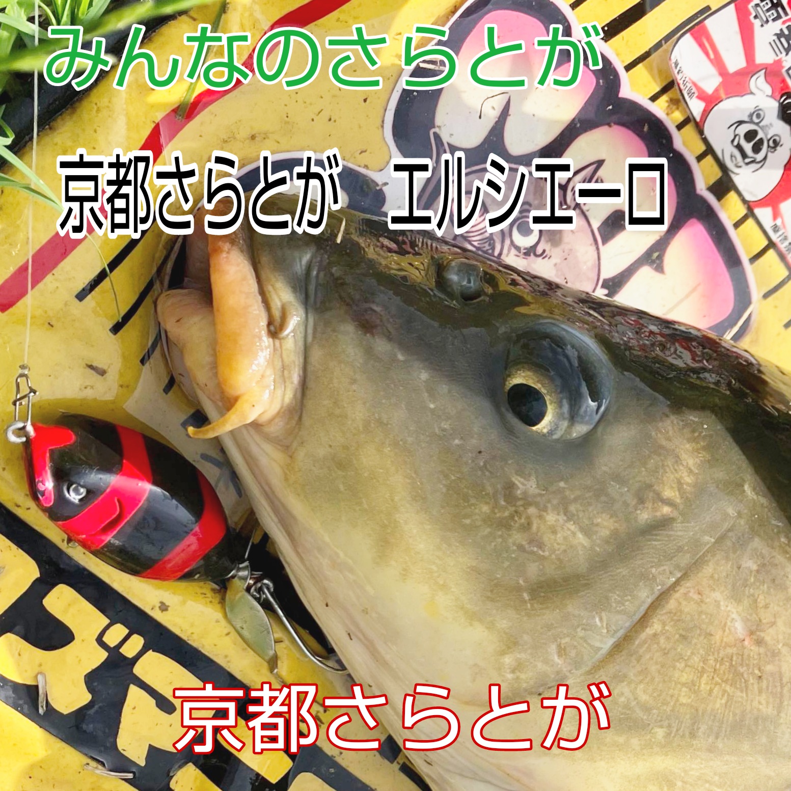 みんなのさらとが7月4日更新