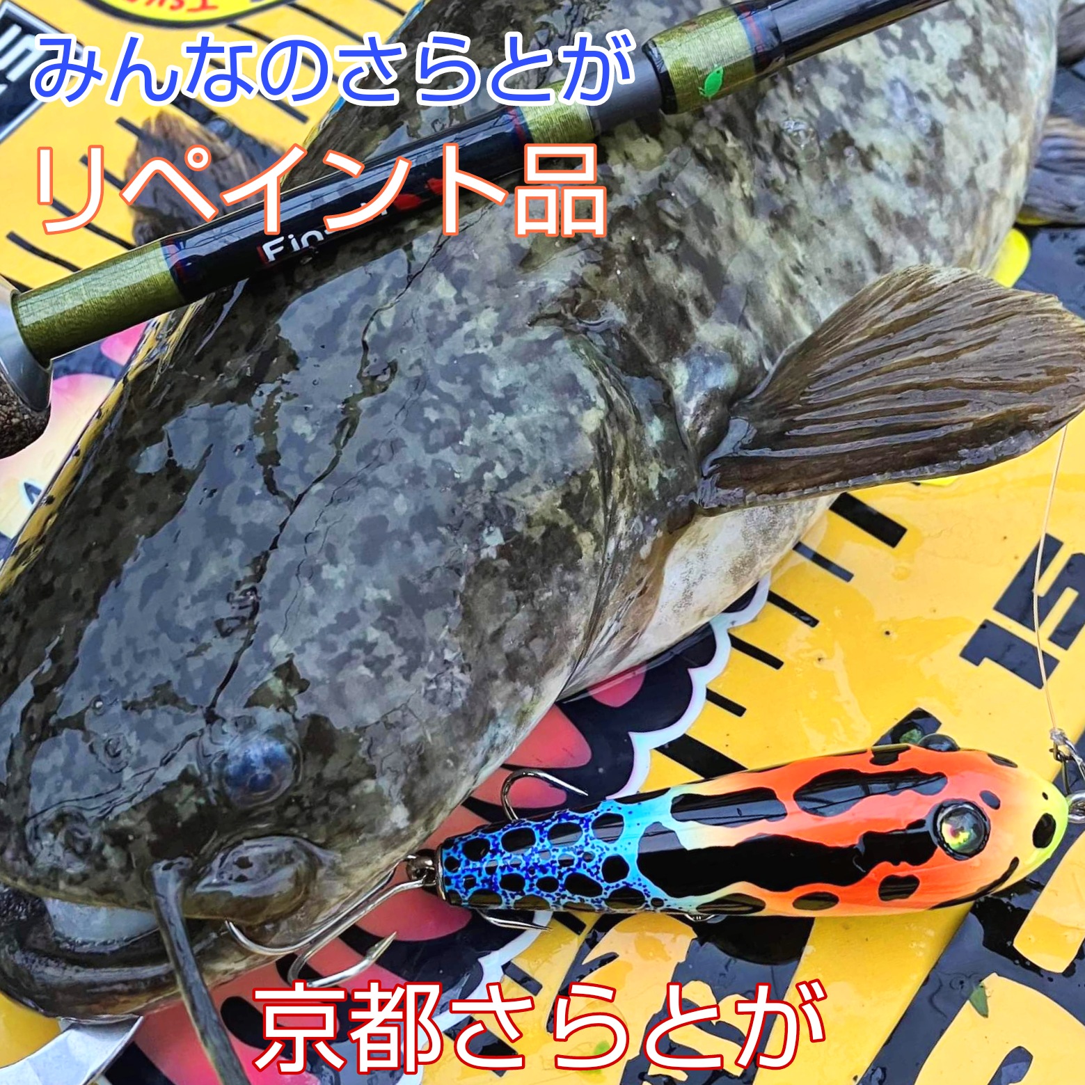 みんなのさらとが7月5日更新