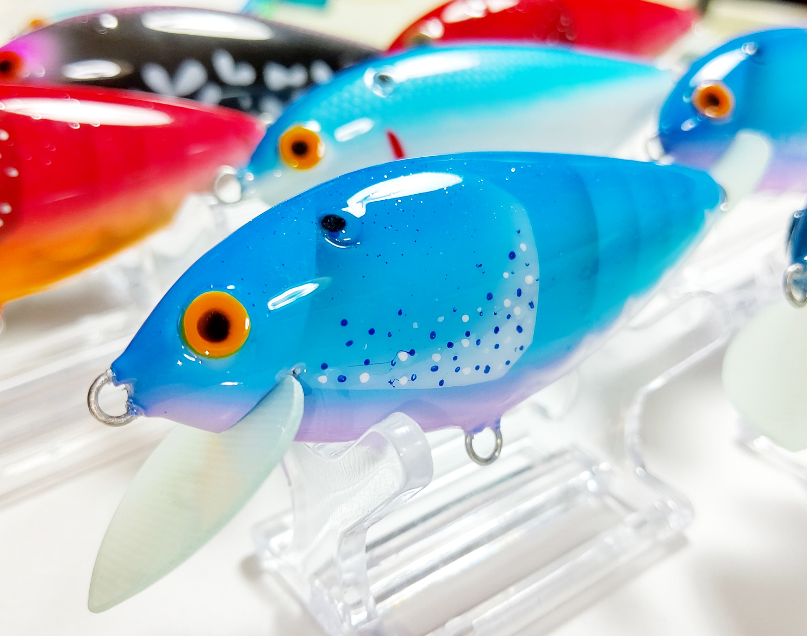 さらとが通信　6月28日号