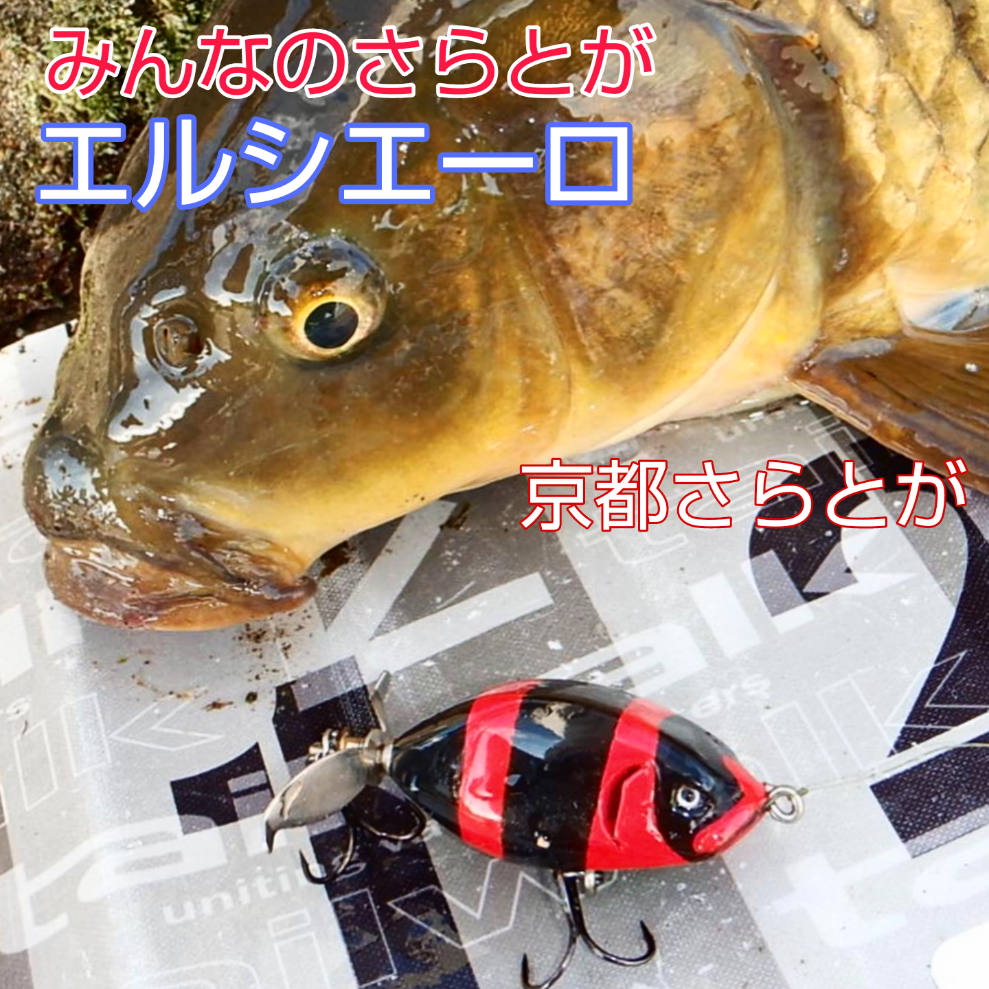 みんなのさらとが9月19日更新