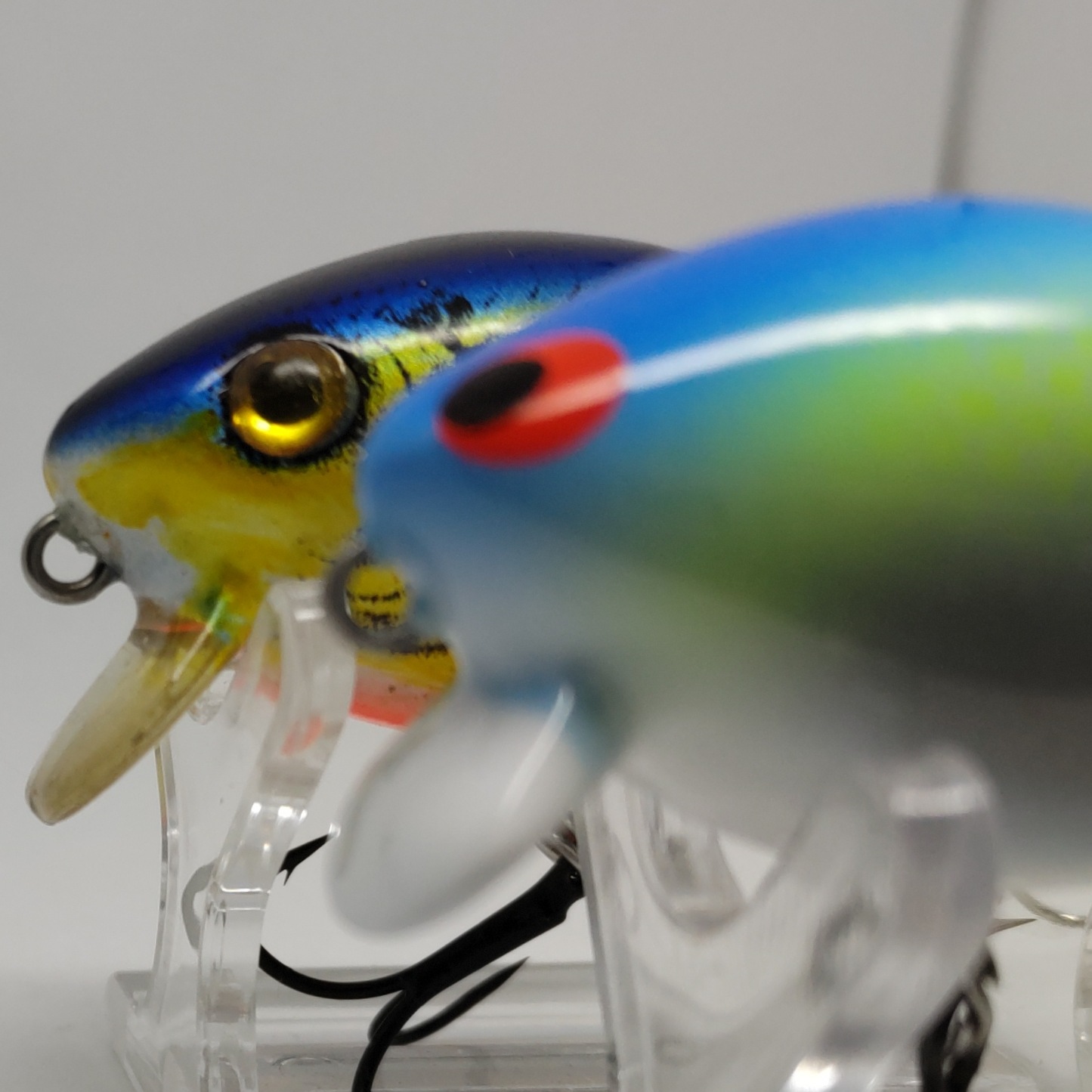 さらとが通信5月16日更新