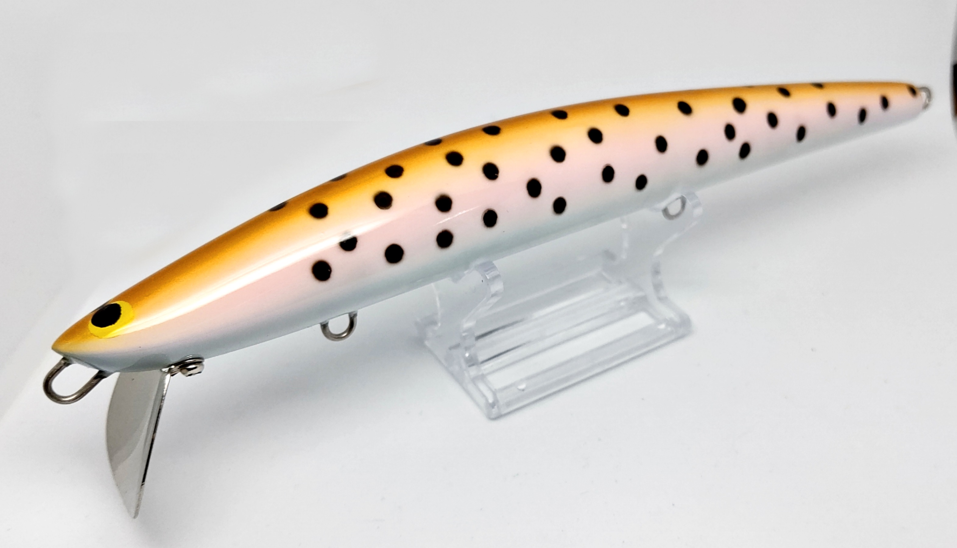 さらとが通信12月26日更新