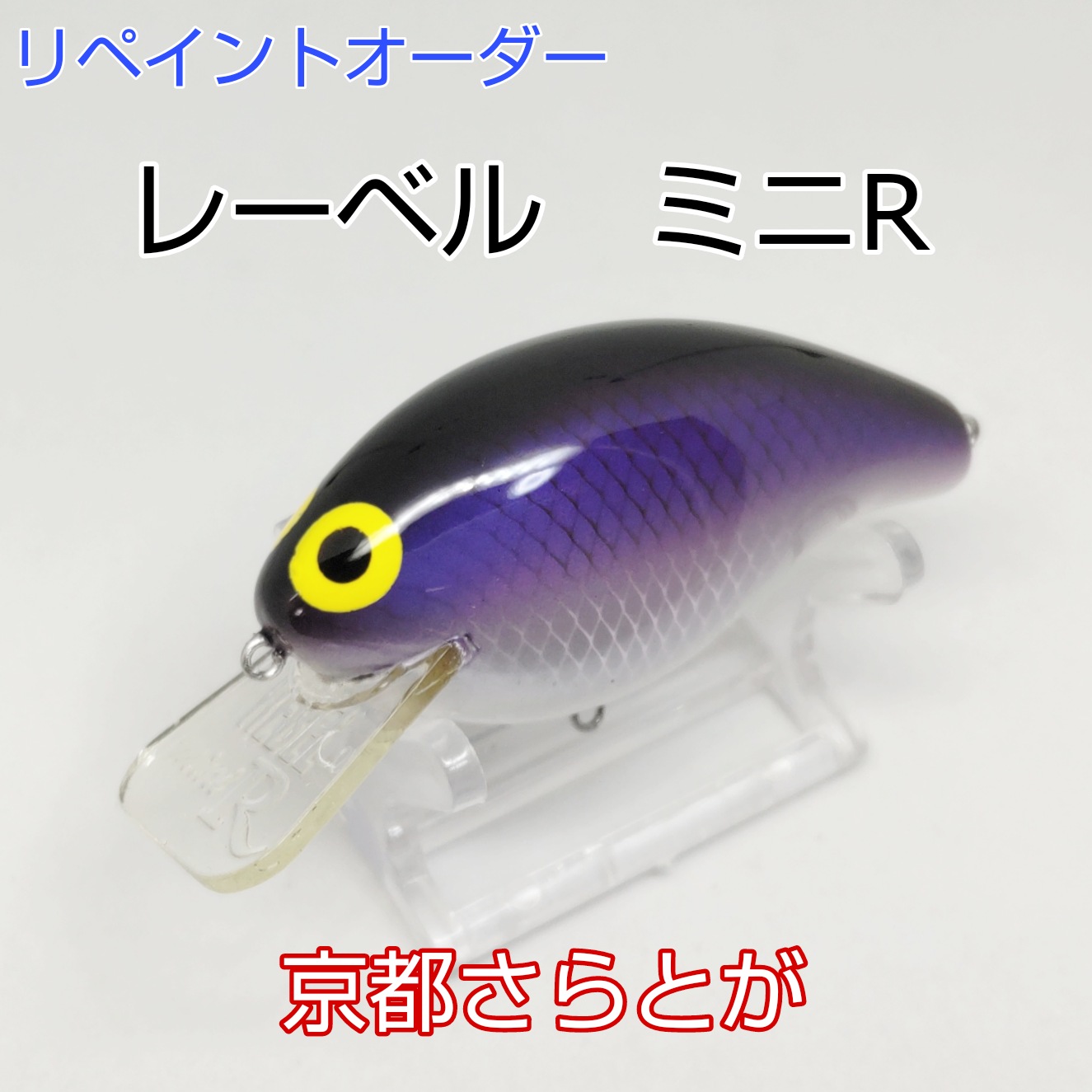 さらとが通信　12月12日更新