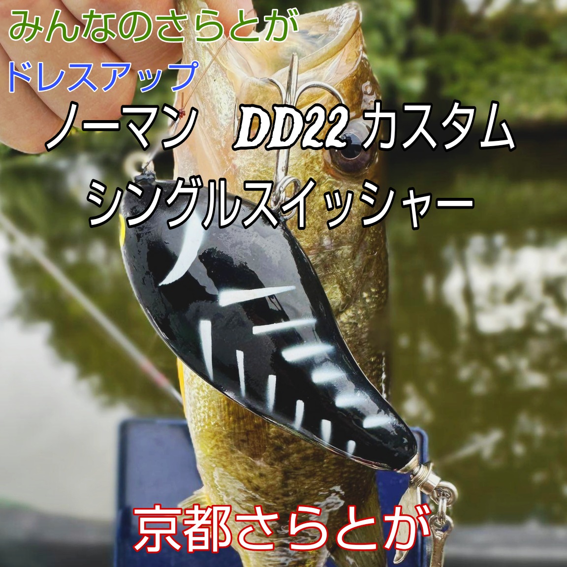 みんなのさらとが 10月31日更新