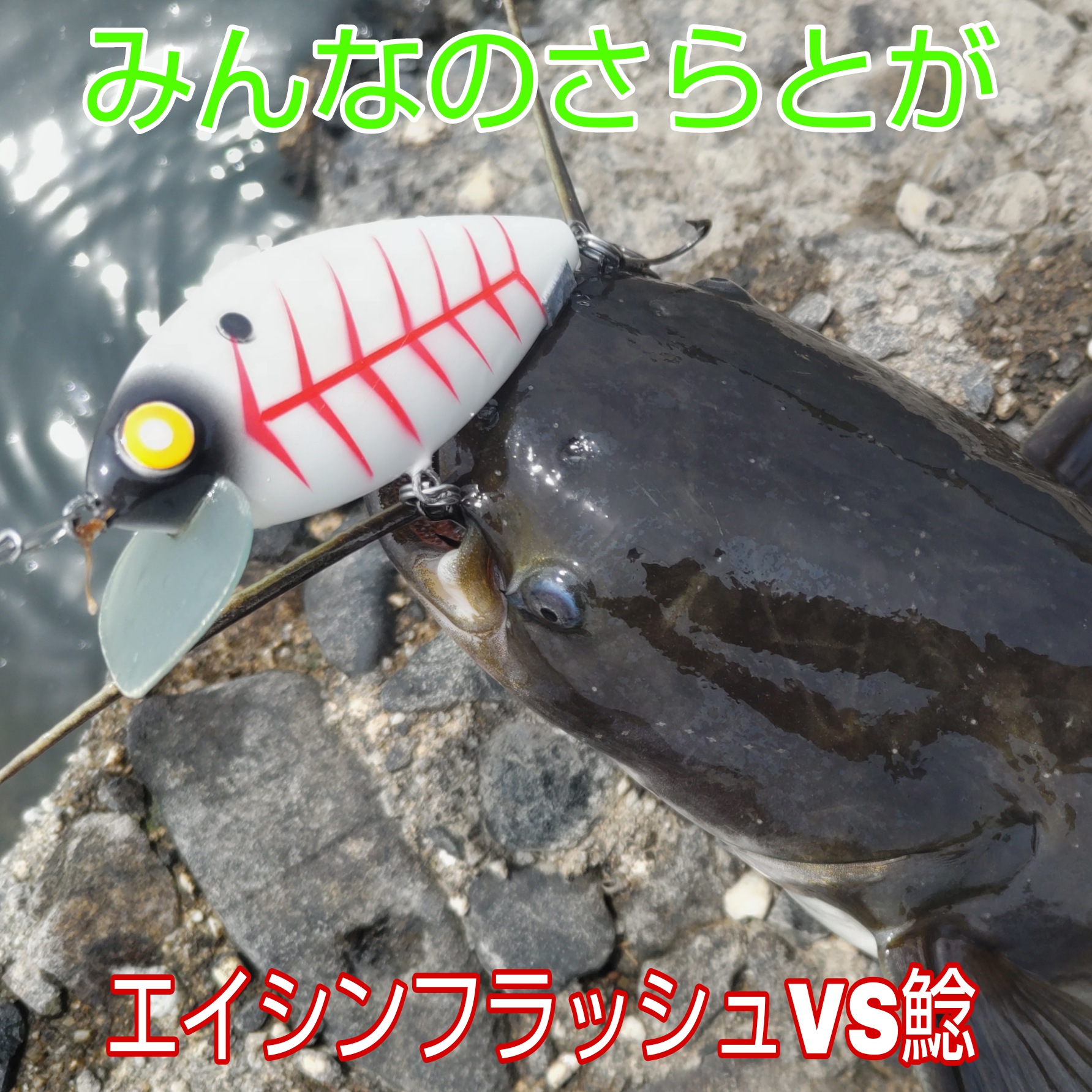 さらとが通信　6月1日更新