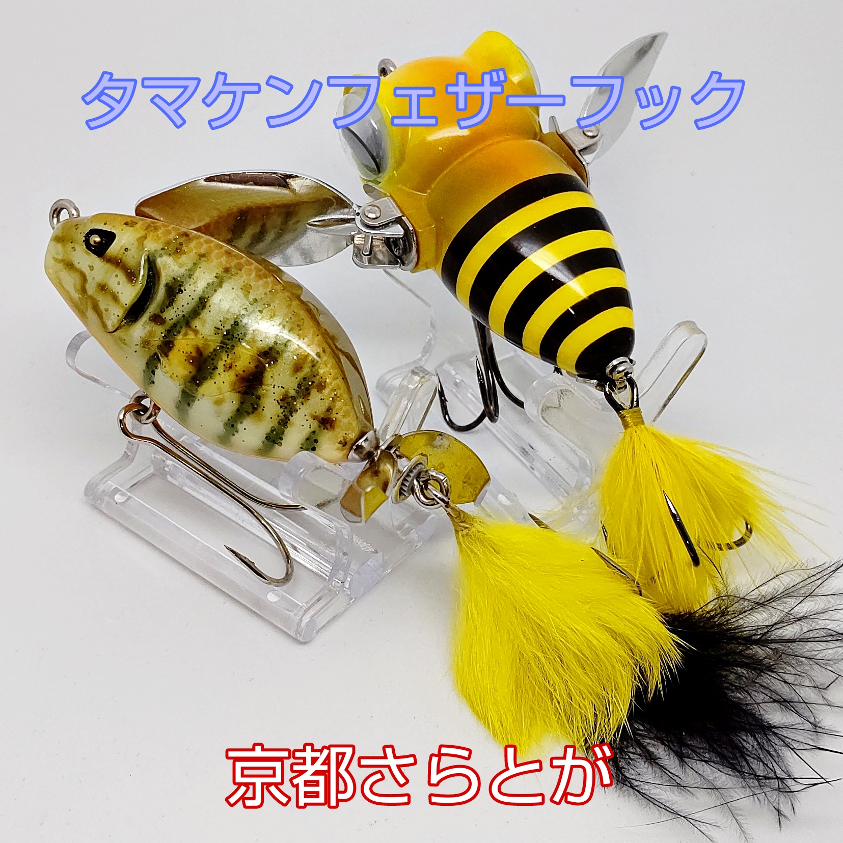 さらとが通信10月11日更新