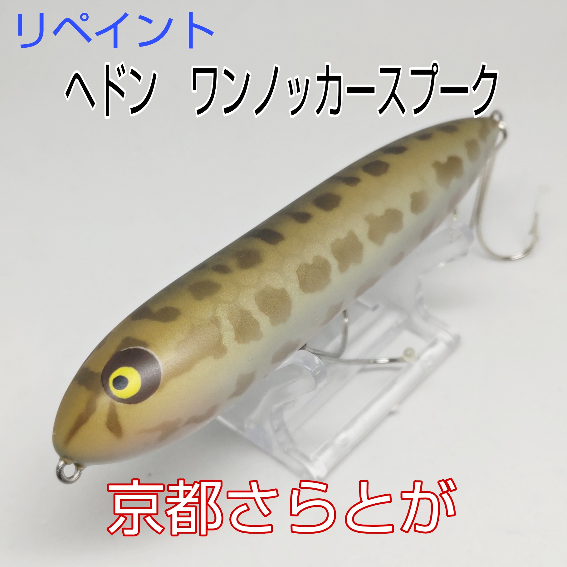 さらとが通信1月24日更新