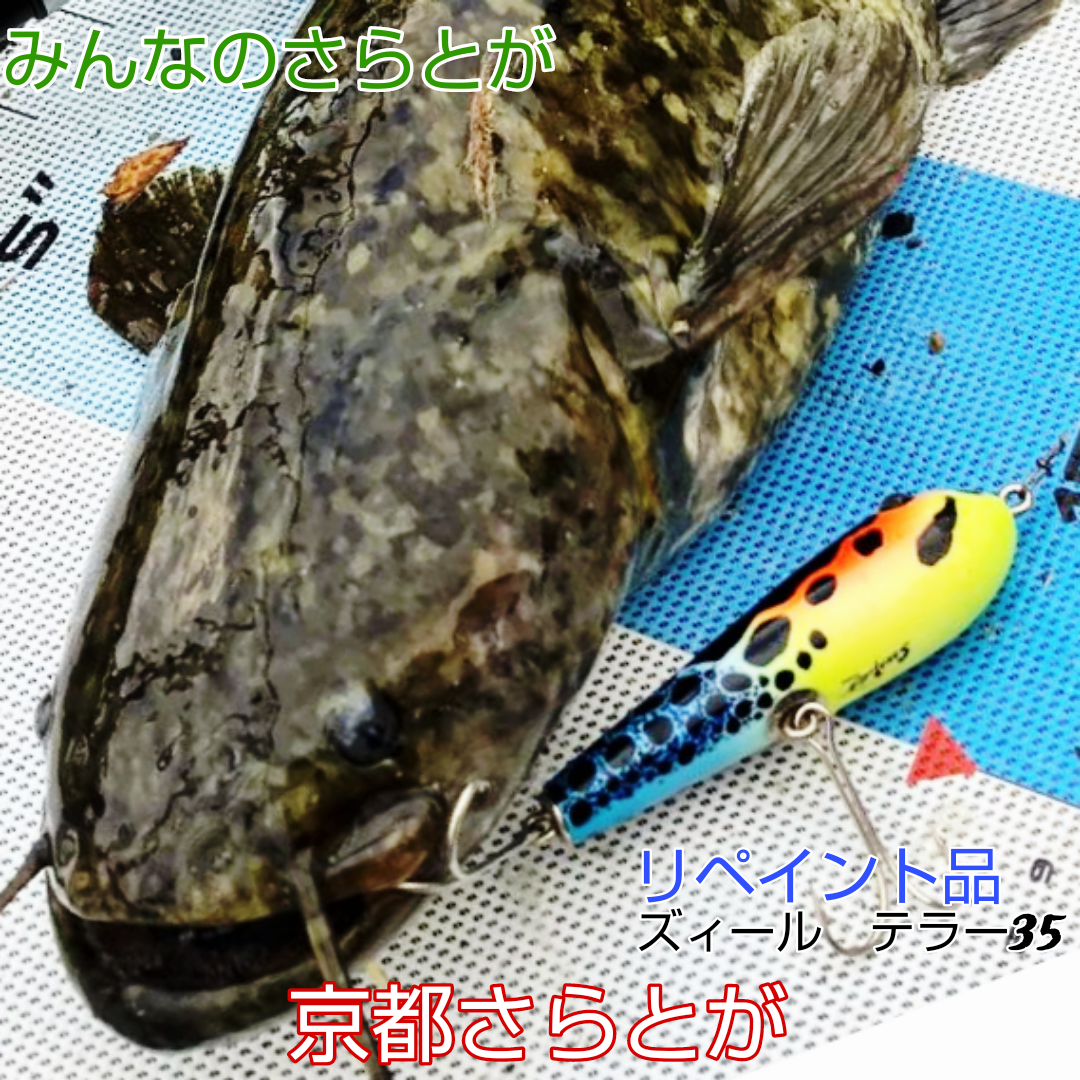 みんなのさらとが　9月28日更新