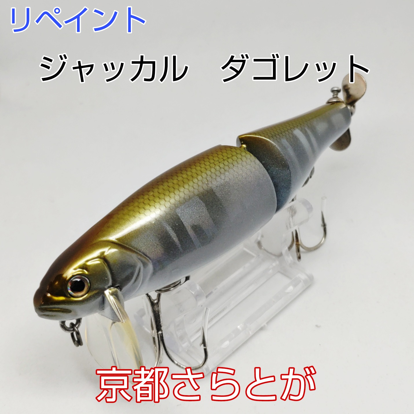 さらとが通信　2月5日更新
