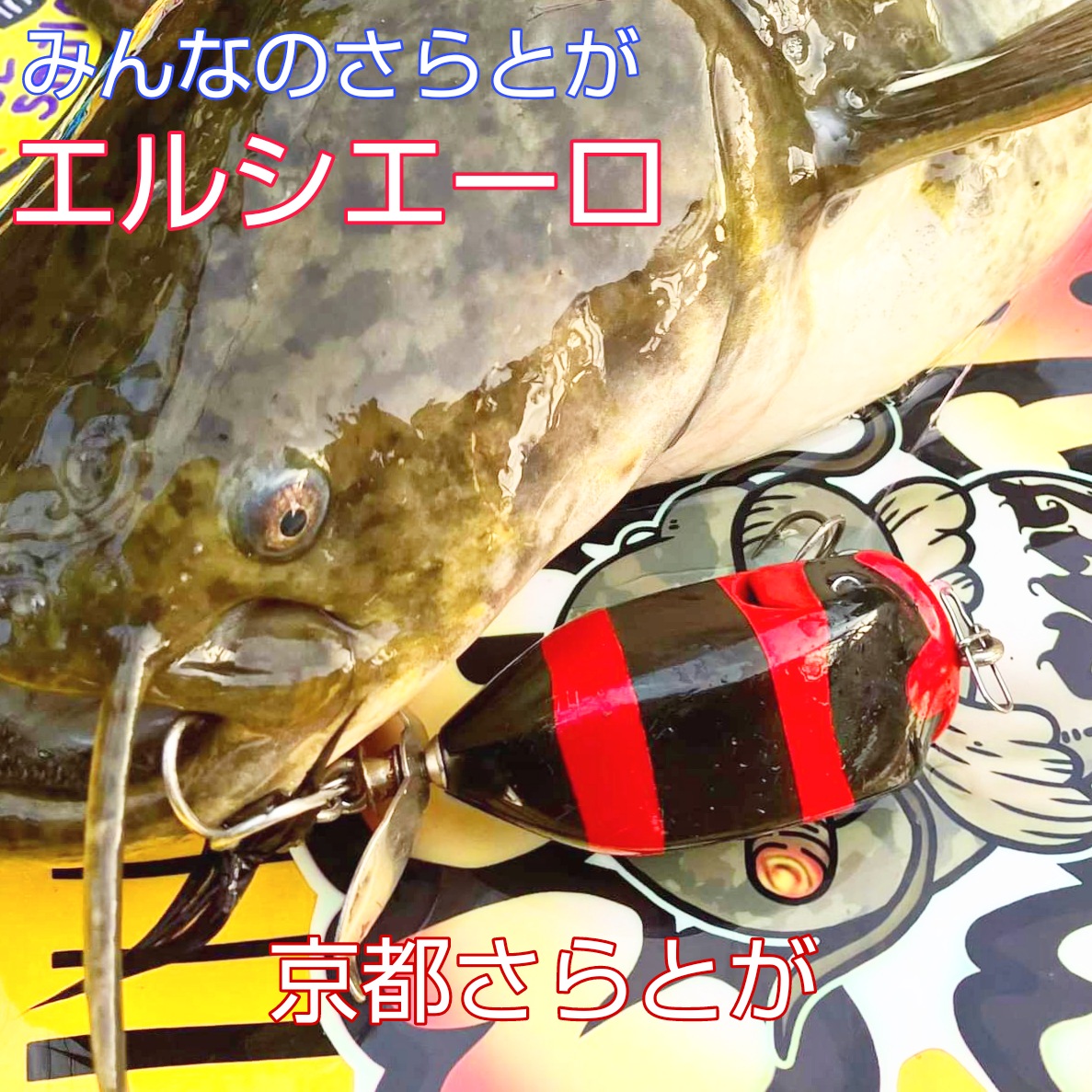 みんなのさらとが5月30日更新