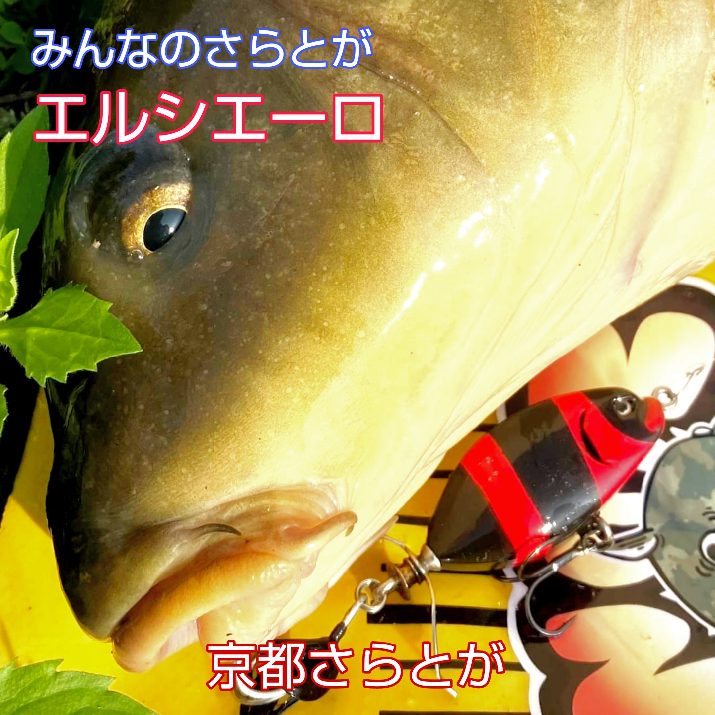 みんなのさらとが4月23日更新