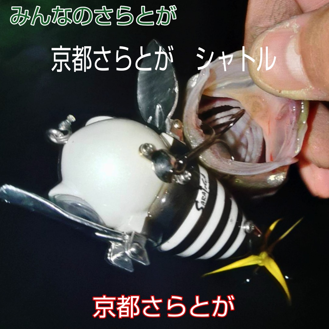 さらとが通信 9月29日更新