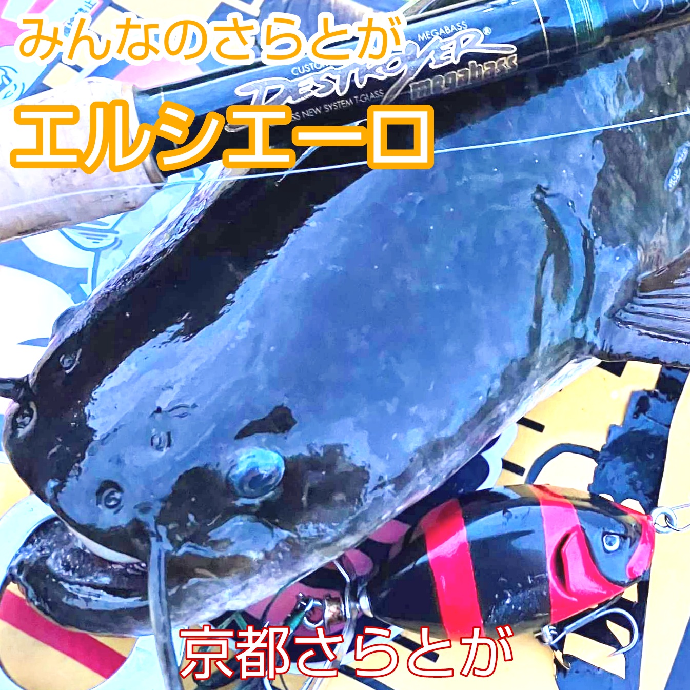 みんなのさらとが8月4日更新