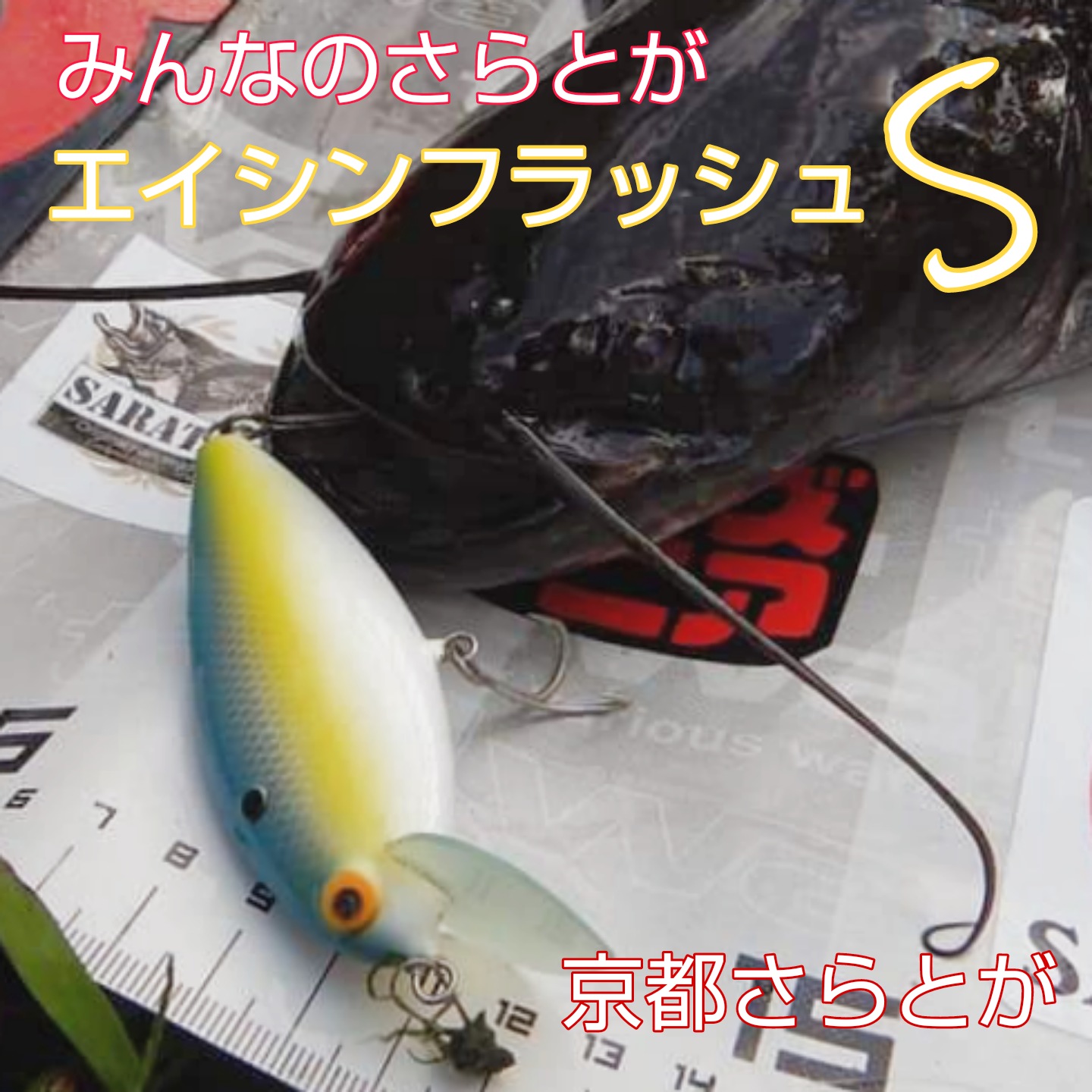 みんなのさらとが9月6日更新