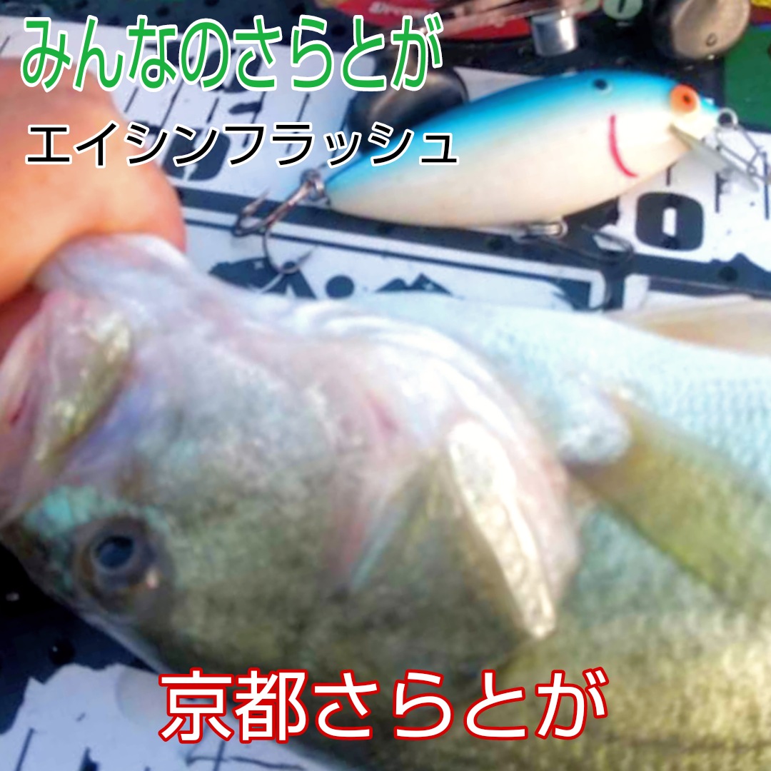 さらとが通信8月27日更新