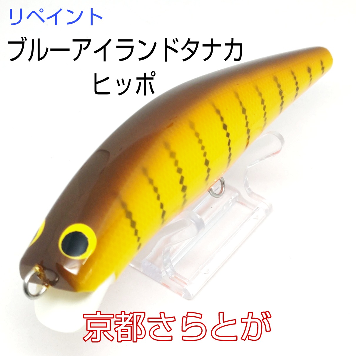 さらとが通信6月17日更新