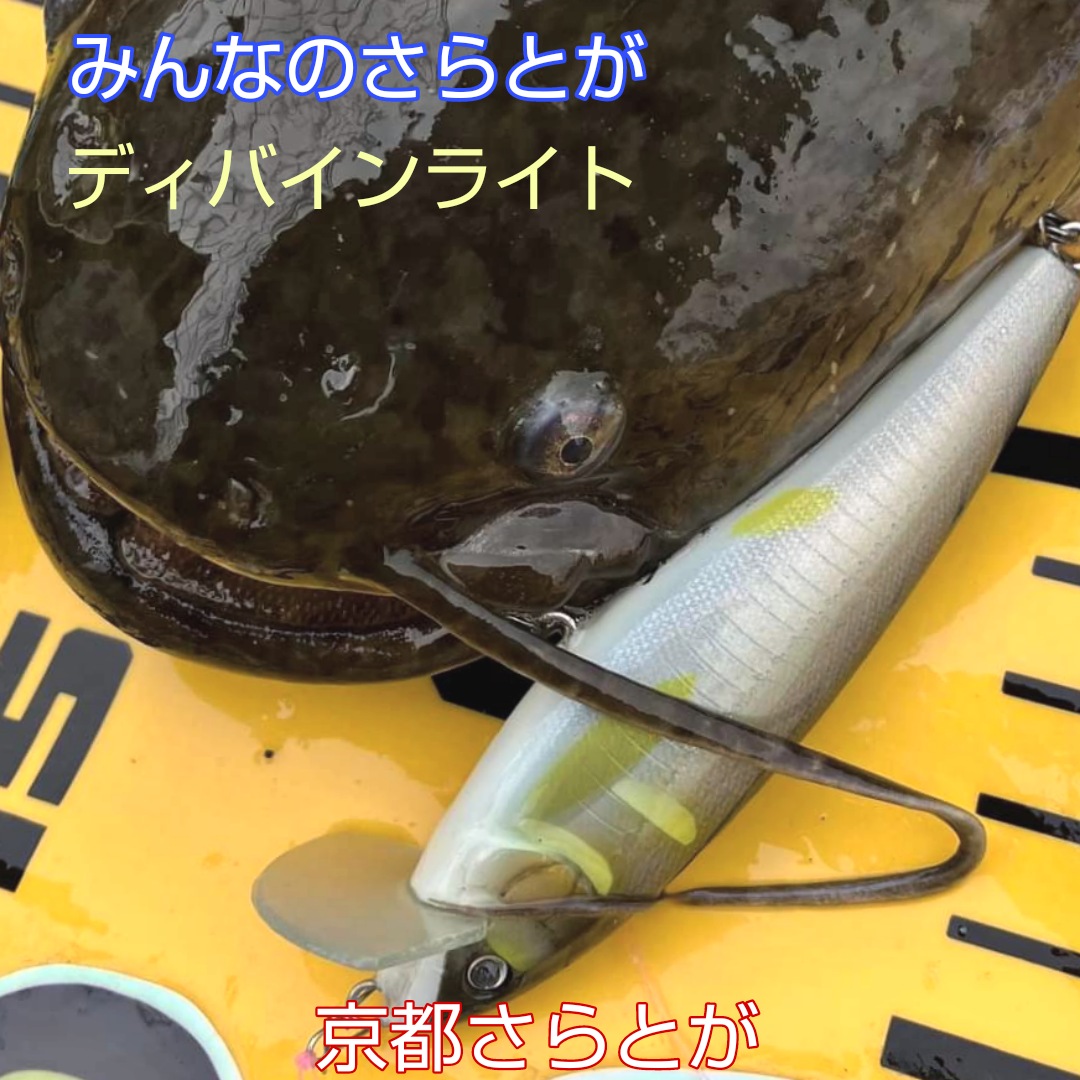 みんなのさらとが5月1日更新