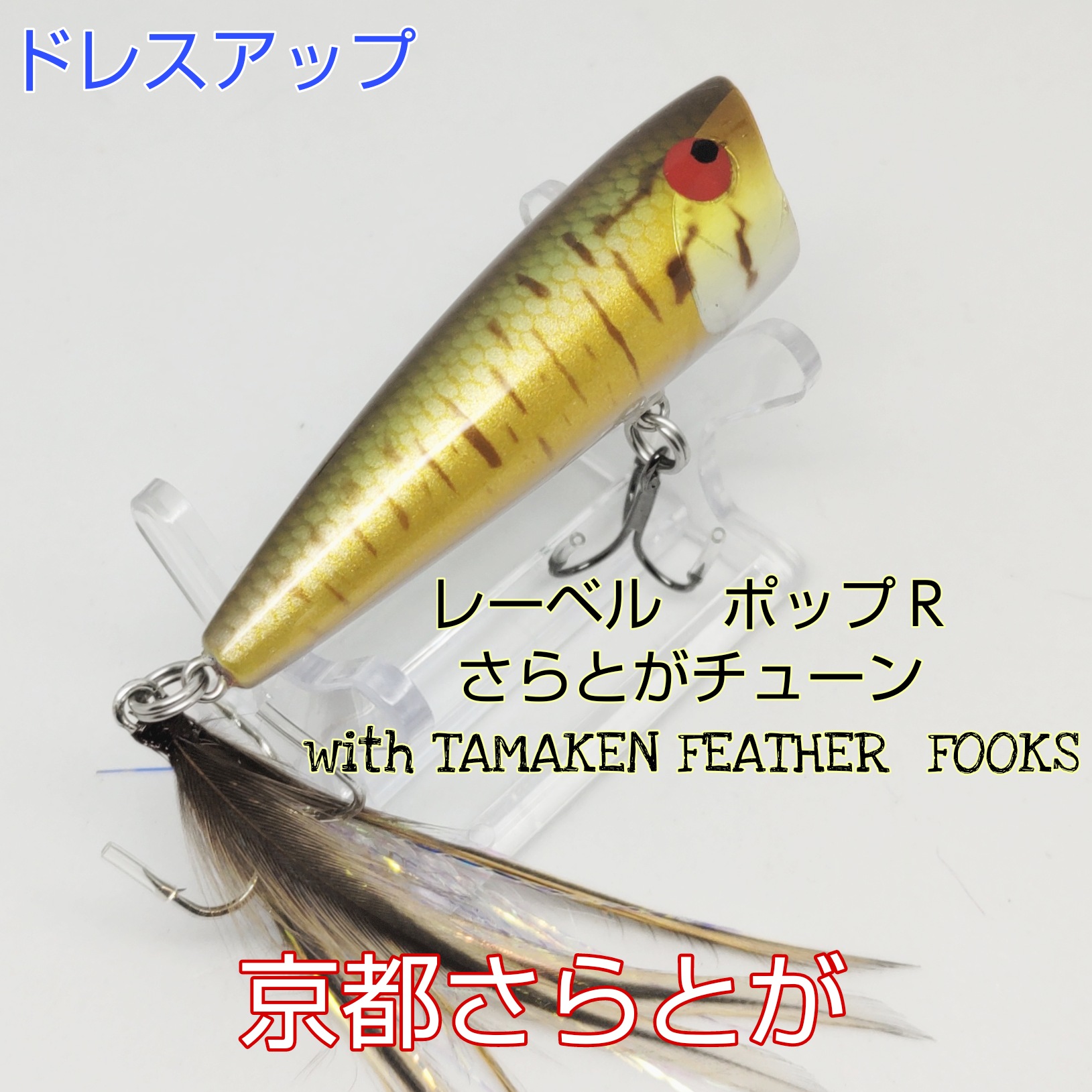 さらとが通信2月13日更新